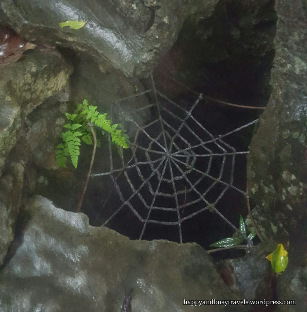 Limestone sinkhole