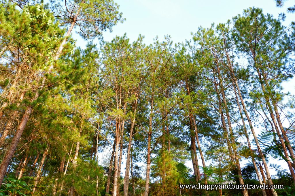 eco valley walking tour - Happy and Busy Travels to Sagada