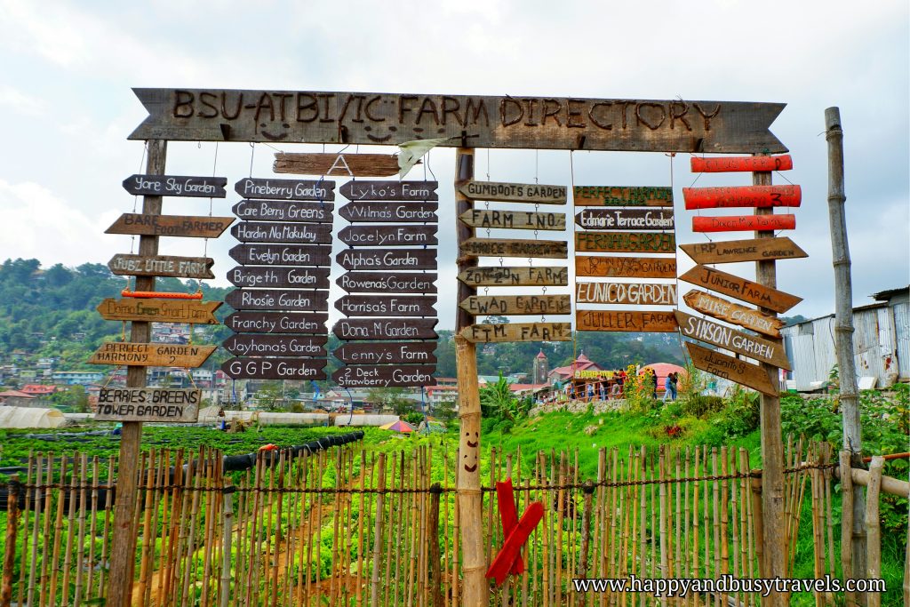 strawberry farm - Happy and Busy Travels to Sagada