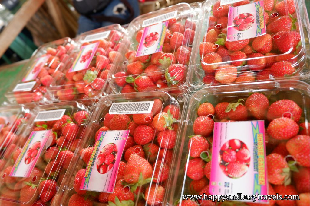 baguio and benguet strawberry - Happy and Busy Travels