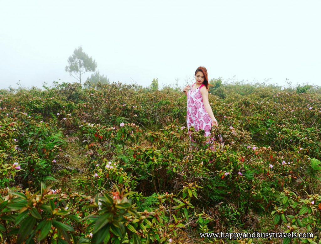 Marlboro Hills Blue soil traverse - Happy and Busy Travels to Sagada