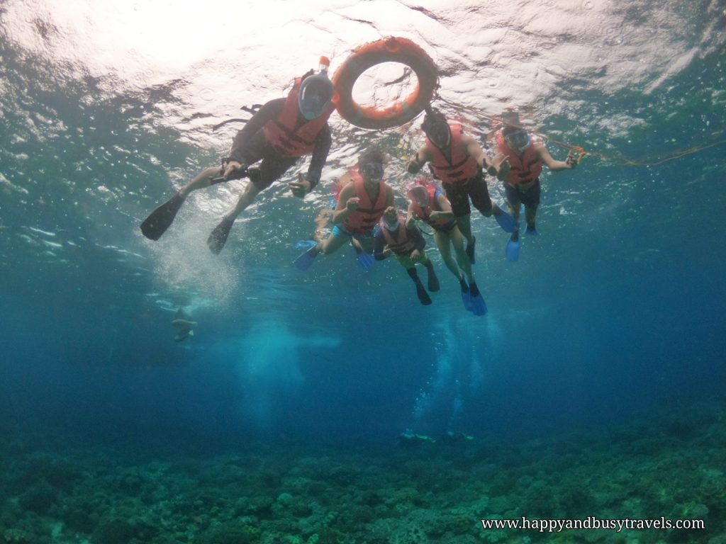 Apo Island Snorkeling