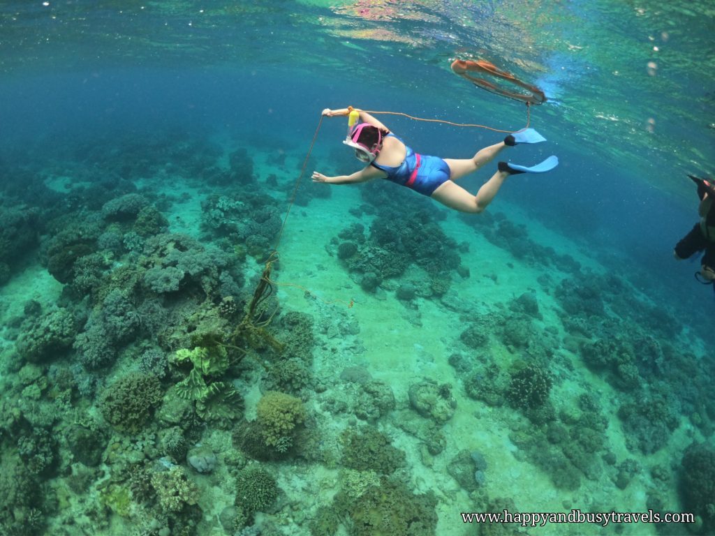 Snorkeling around Apo Island