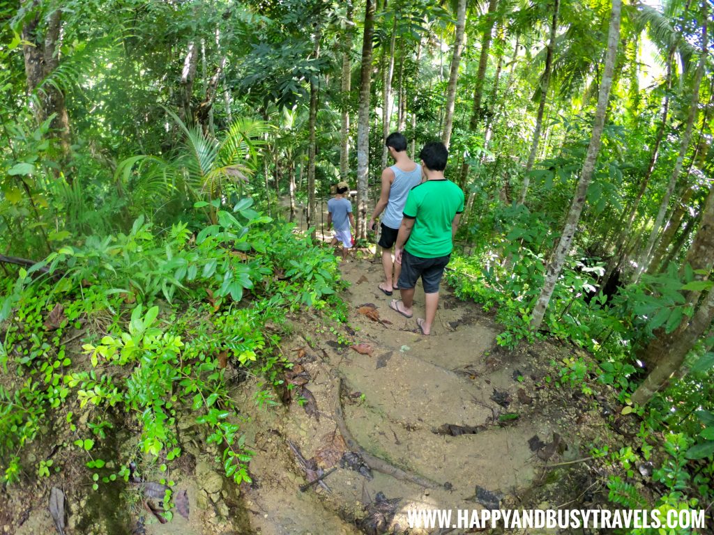 Lugnason Falls Siquijor Happy and Busy Travels