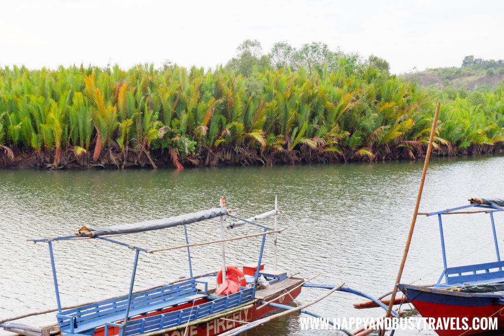 Maribojoc Mangrove Firefly Watching Bohol