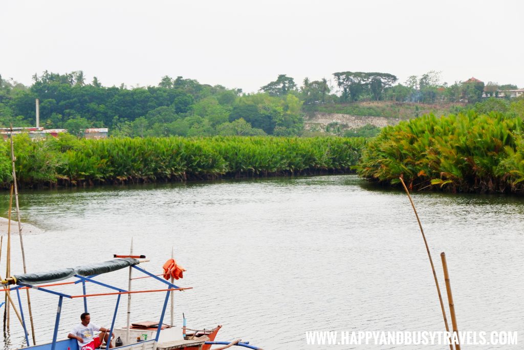 Maribojoc Mangrove Firefly Watching Bohol