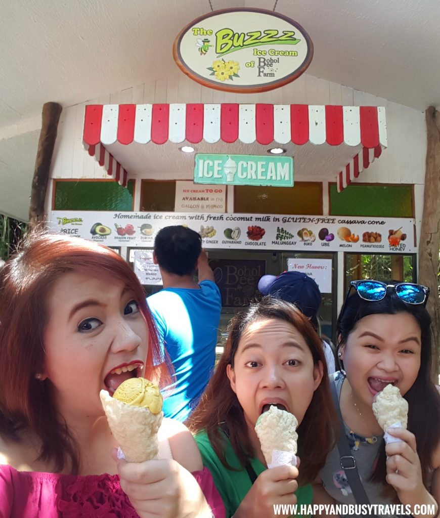 Bohol Bee Farm Ice Cream Happy and Busy Travels