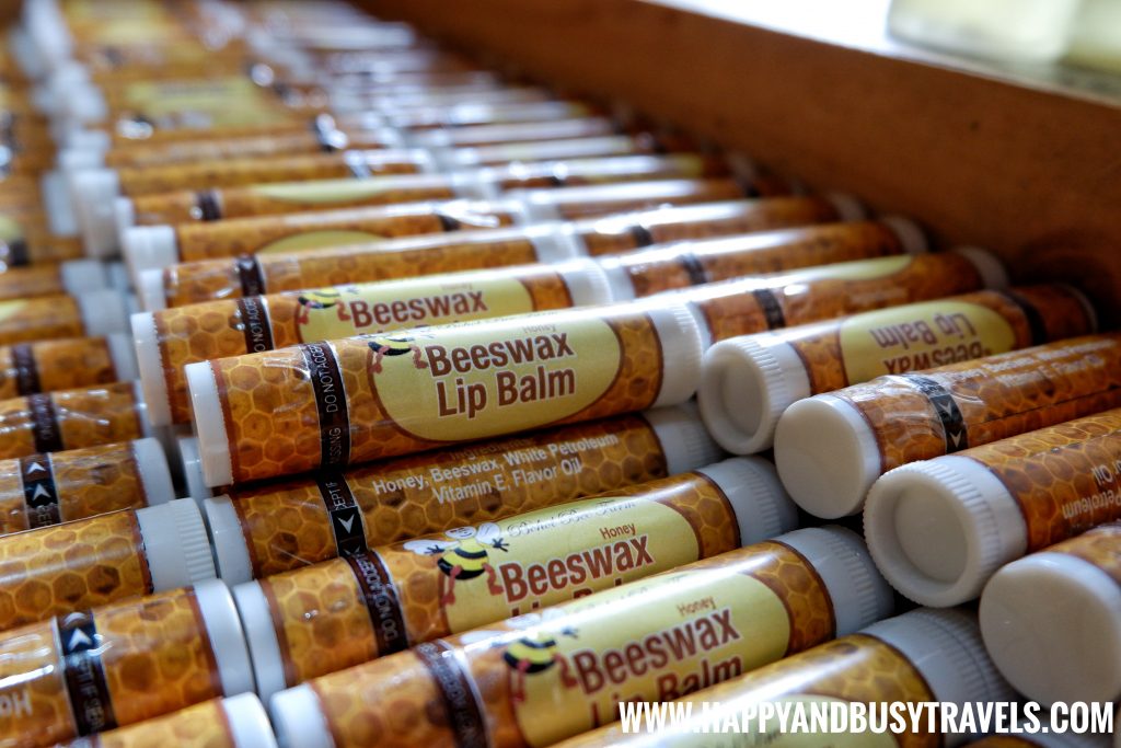 Beeswax Lip Balm from the Buzz Shop at the Bohol Bee Farm