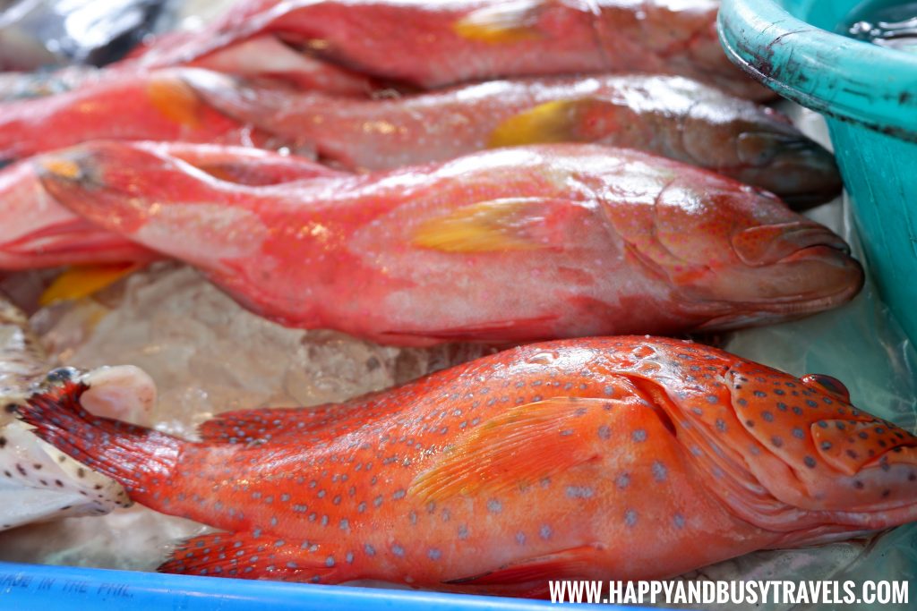 Fish from Seafood Paluto in Boracay Island Now open to the public review of Happy and Busy Travels