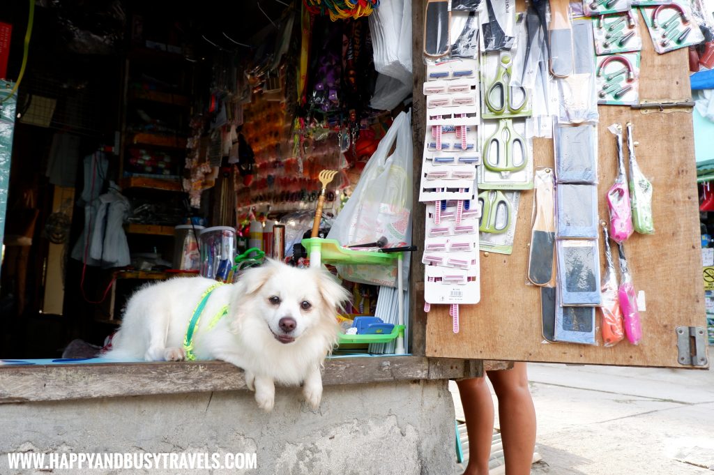 Carabao Island Romblon review of Happy and Busy Travels