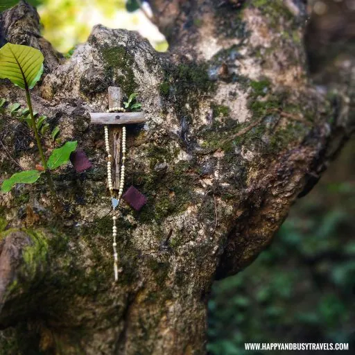 Japanese Tunnel, Basco Batanes Happy and Busy Travels