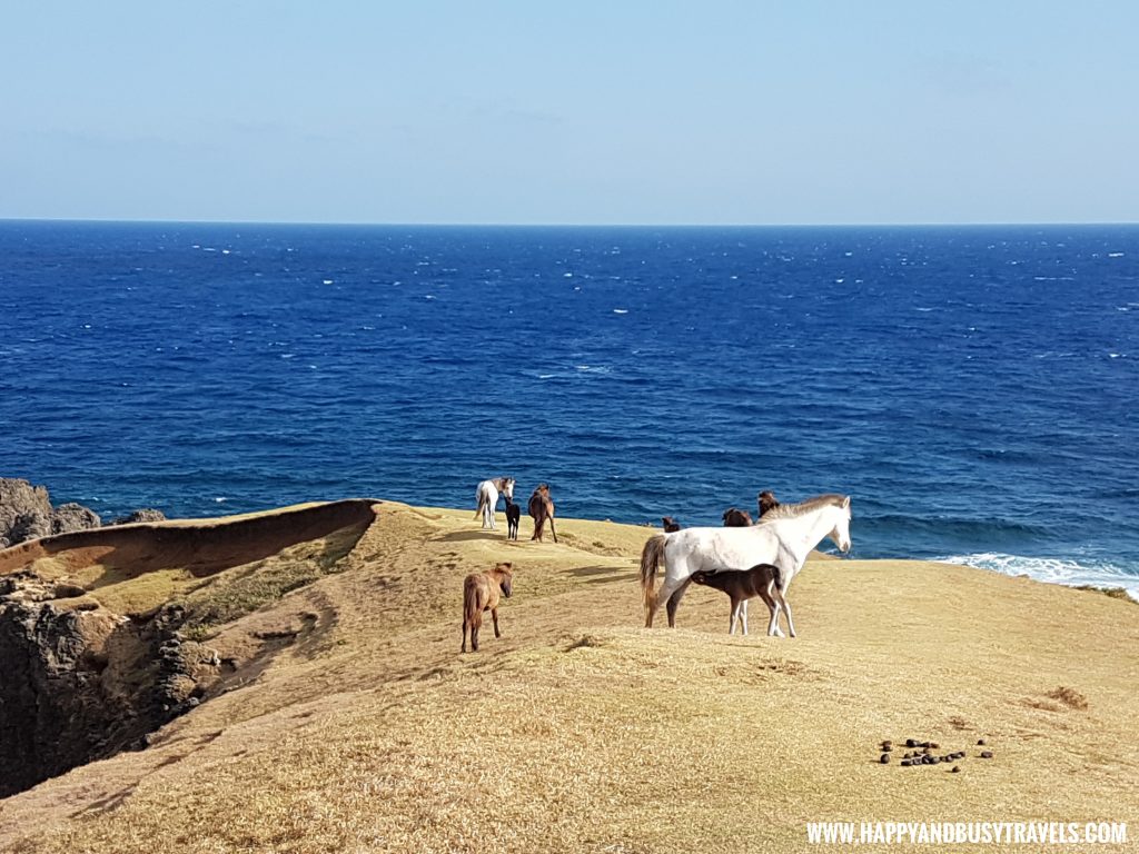 Marlboro Hills Racuh A Payaman South Batan- Batanes Travel Guide and itinerary for 5 days - Happy and Busy Travels