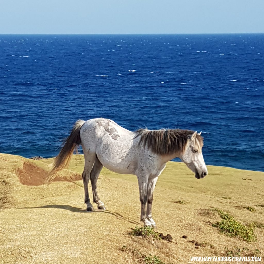 Marlboro Hills Racuh A Payaman South Batan- Batanes Travel Guide and itinerary for 5 days - Happy and Busy Travels