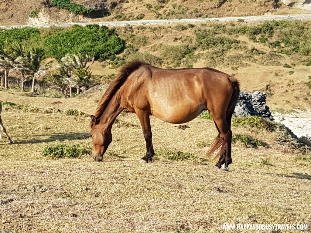 Marlboro Hills Racuh A Payaman South Batan- Batanes Travel Guide and itinerary for 5 days - Happy and Busy Travels