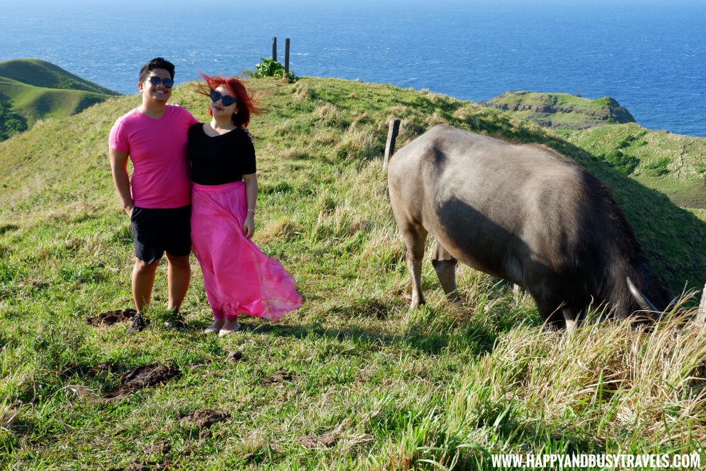 Vayang Rolling Hills - Batanes travel guide and Itinerary for 5 days - Happy and Busy Travels