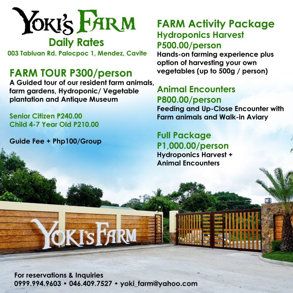 Yoki's Farm new rates - Happy and Busy Travels Where to go in Cavite tagaytay