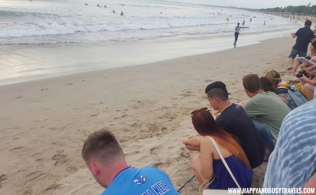 Baby Turtle Releasing by Kuta Beach Sea Turtle Conservation Center in Bali Indonesia