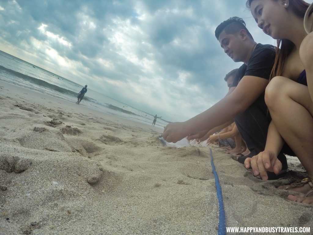 Baby Turtle Releasing by Kuta Beach Sea Turtle Conservation Center in Bali Indonesia