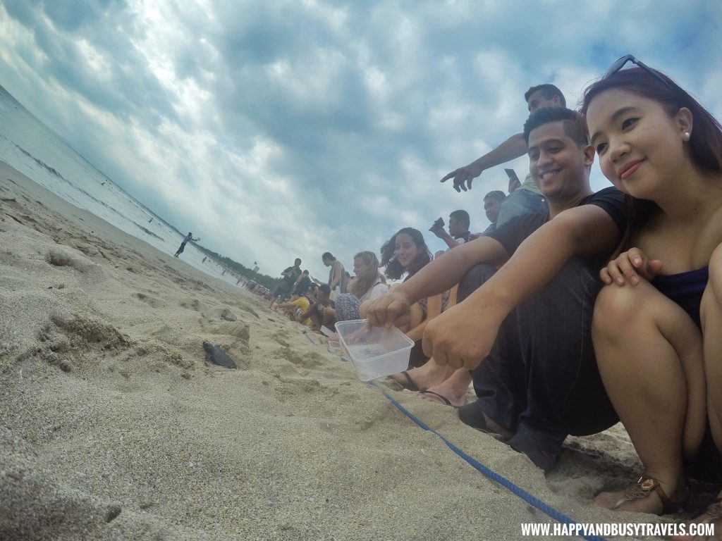 Baby Turtle Releasing by Kuta Beach Sea Turtle Conservation Center in Bali Indonesia