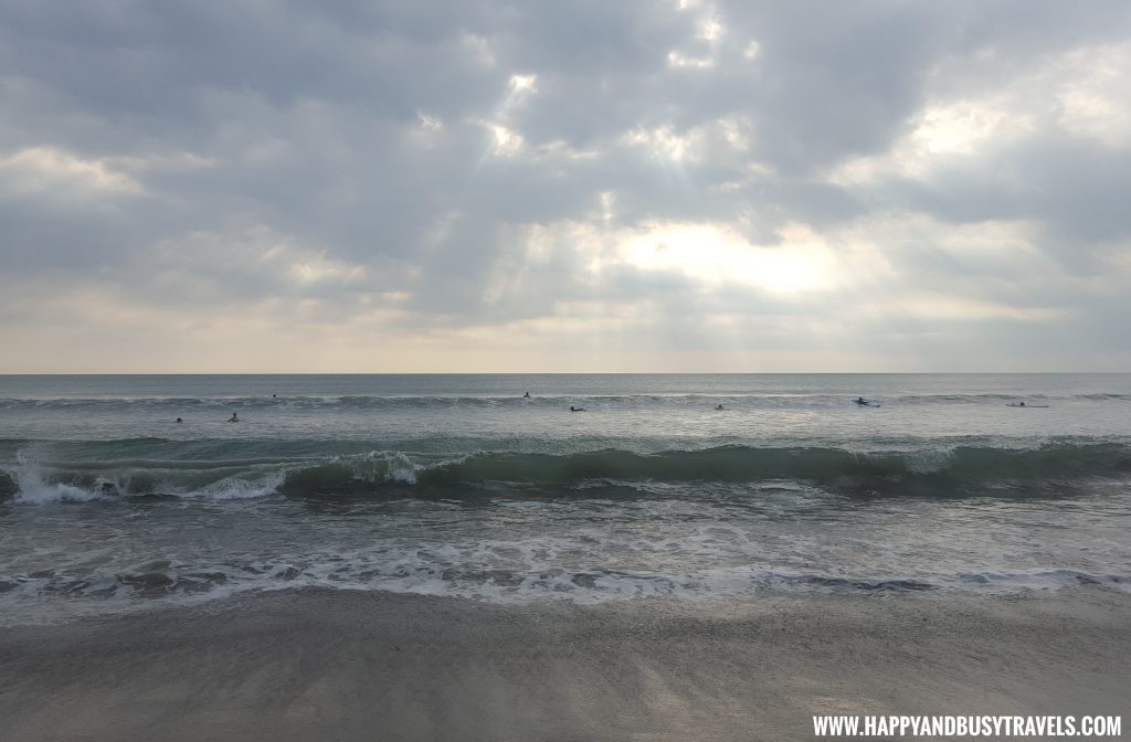 Kuta Beach Sea Turtle Conservation Center in Bali Indonesia