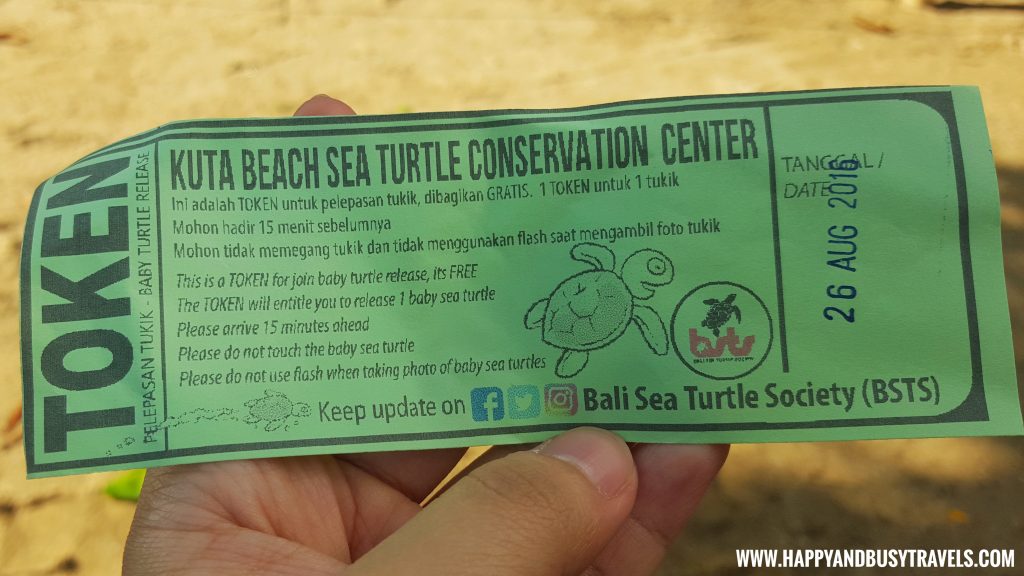 Baby Turtle Releasing by Kuta Beach Sea Turtle Conservation Center in Bali Indonesia