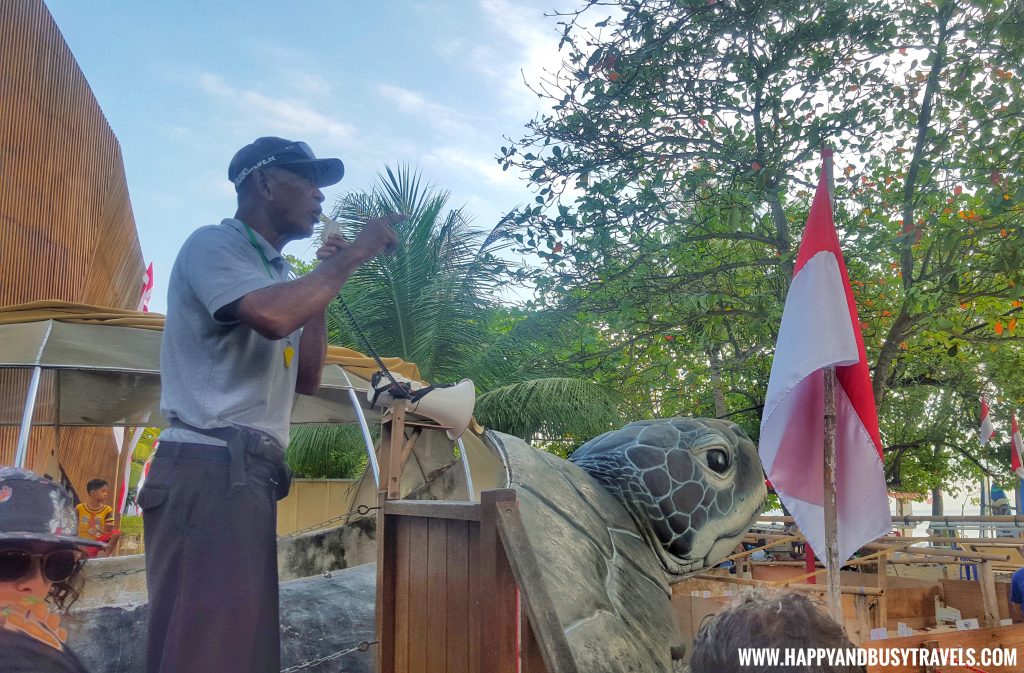 Kuta Beach Sea Turtle Conservation Center in Bali Indonesia