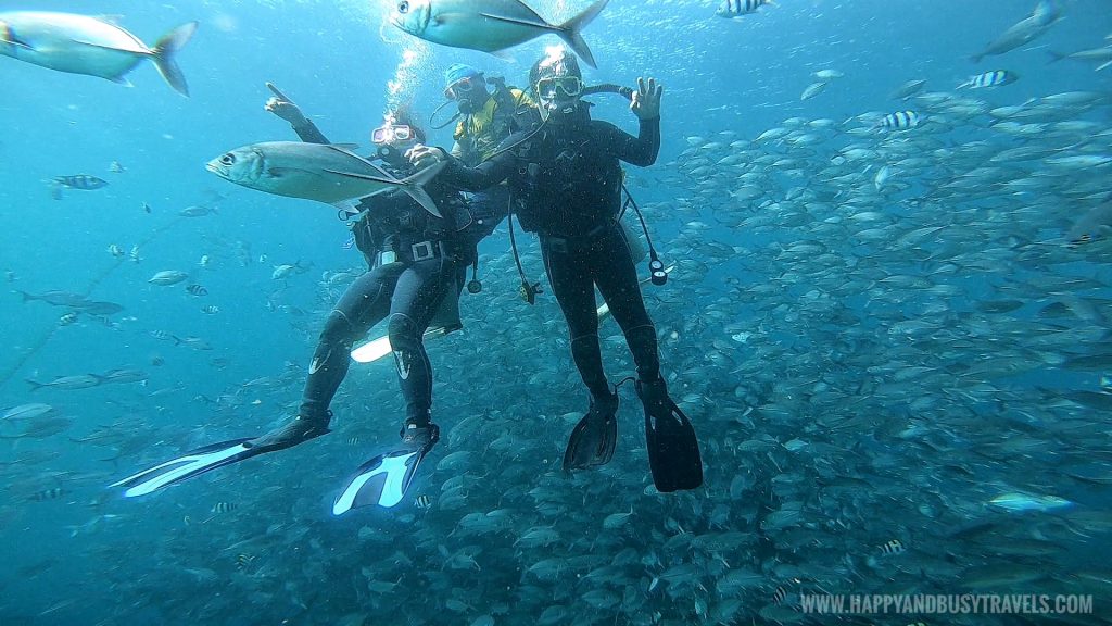 Introduction to Scuba Diving in Summer Cruise Dive Resort Batangas review of Happy and Busy Travels