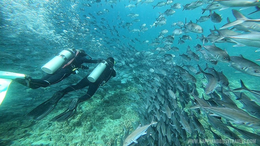 Going into the school of fish during our Introduction to Scuba Diving in Summer Cruise Dive Resort Batangas review of Happy and Busy Travels