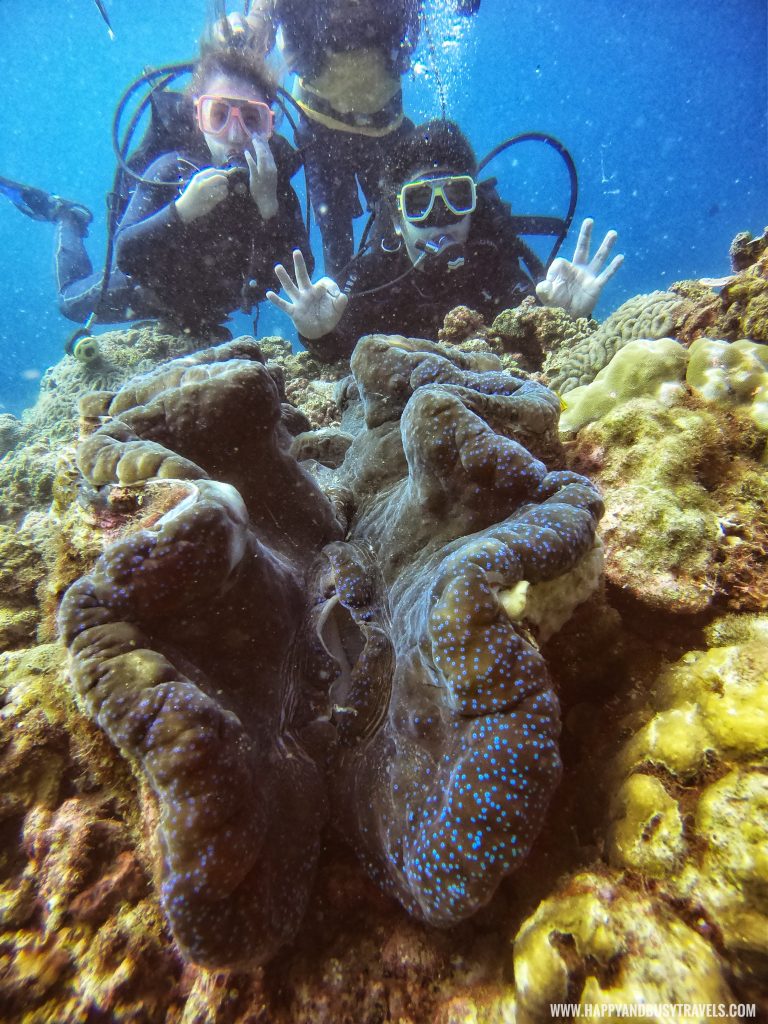 Giant Clam Introduction to Scuba Diving in Summer Cruise Dive Resort Batangas review of Happy and Busy Travels