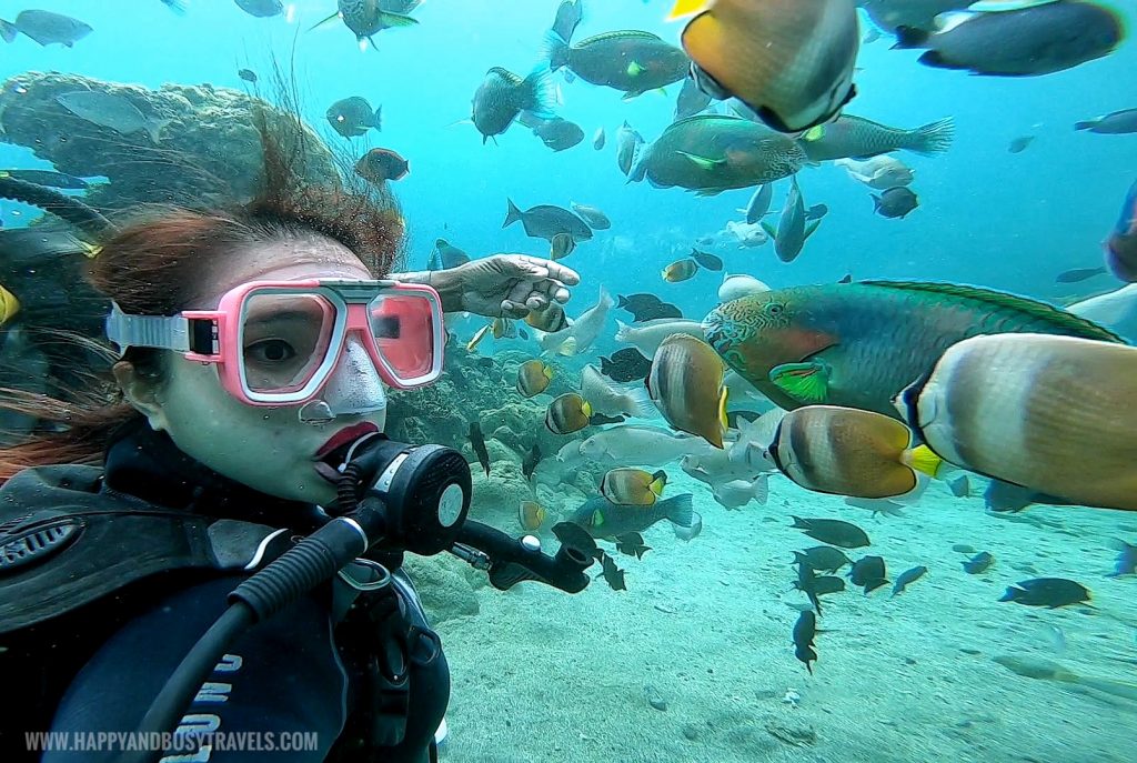 Intro to Scuba diving in Summer Cruise Dive Resort Batangas review of happy and busy travels