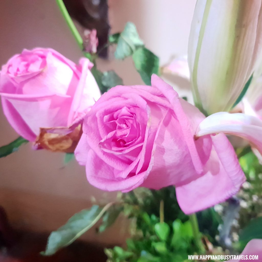 Pink Roses from the flower bouquet during VAlentines day - What to do with your flowers after Valentines Day 
