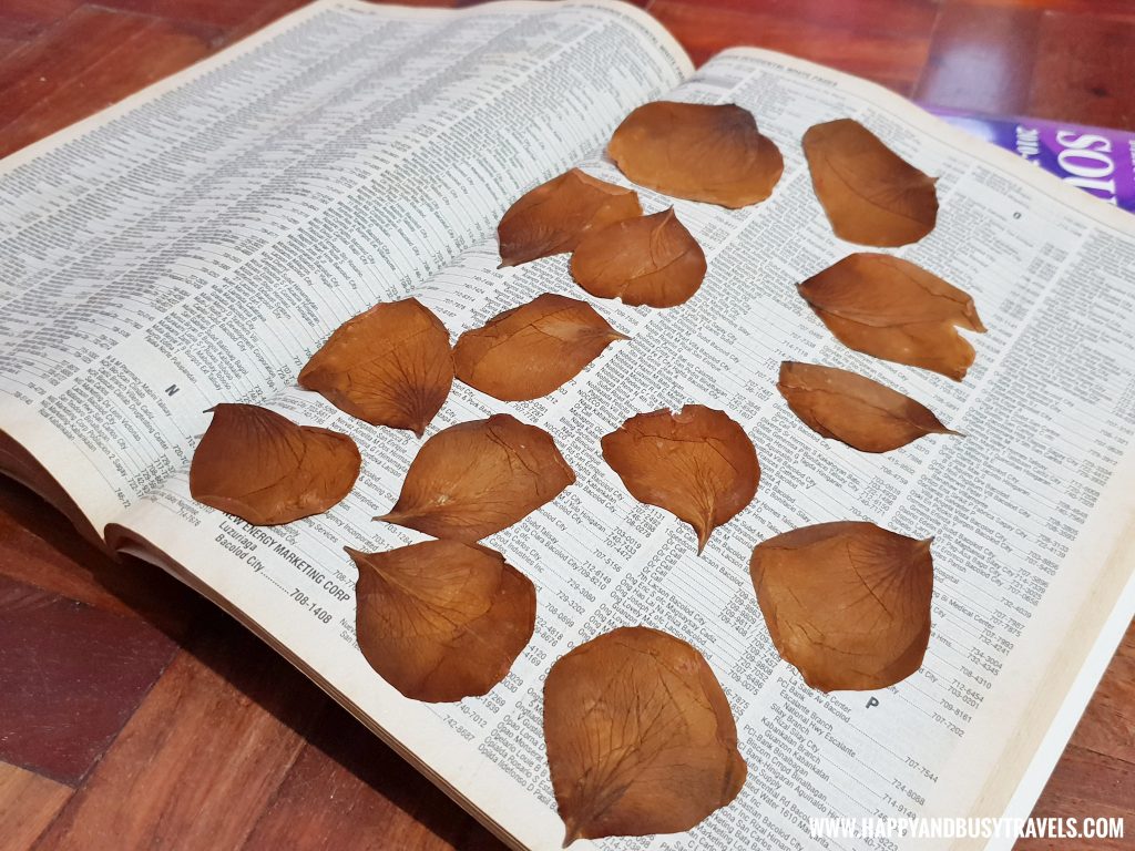 Pressed roses petals