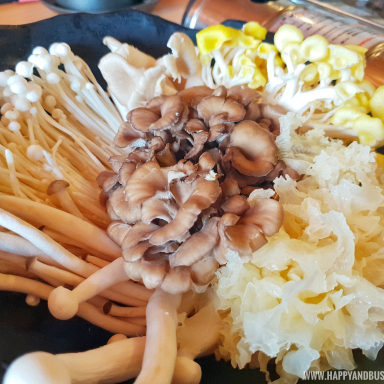 Master of Mushroom 神 菇 Xinshe Taiwan - Happy and Busy Travels