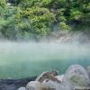 Beitou Thermal Valley Hot Spring - Happy and Busy Travels to Taichung, Taiwan