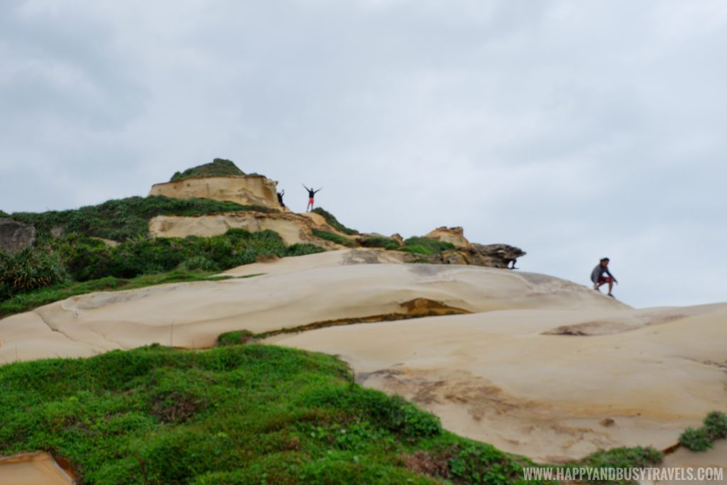 Camel's Peak - Happy and Busy Travels to Taiwan