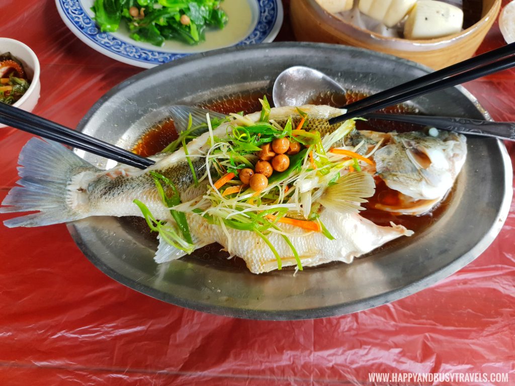 Steamed Fresh Fish 清蒸鮮魚 Miao Bang Garden Restaurant Alocasia Callalily 苗榜海芋園 - Happy and Busy Travels to Taiwan