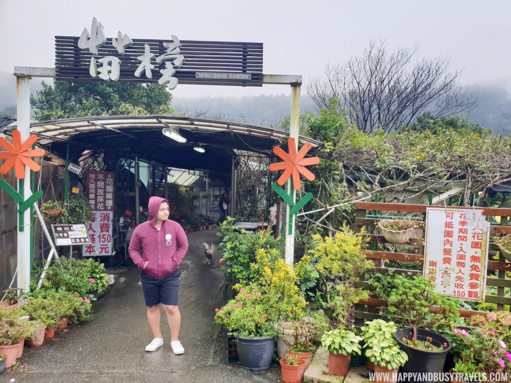 Miao Bang Garden Restaurant Alocasia Callalily 苗榜海芋園 - Happy and Busy Travels to Taiwan