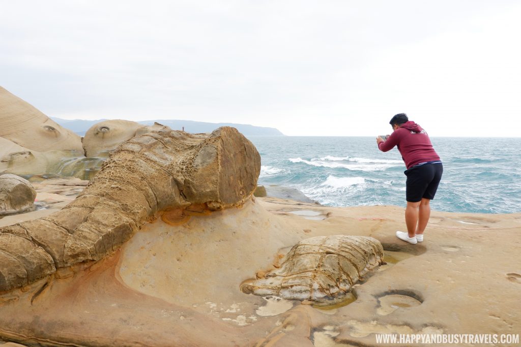 Yehliu Geopark 野柳地質公園 - Happy and Busy Travels to Taiwan