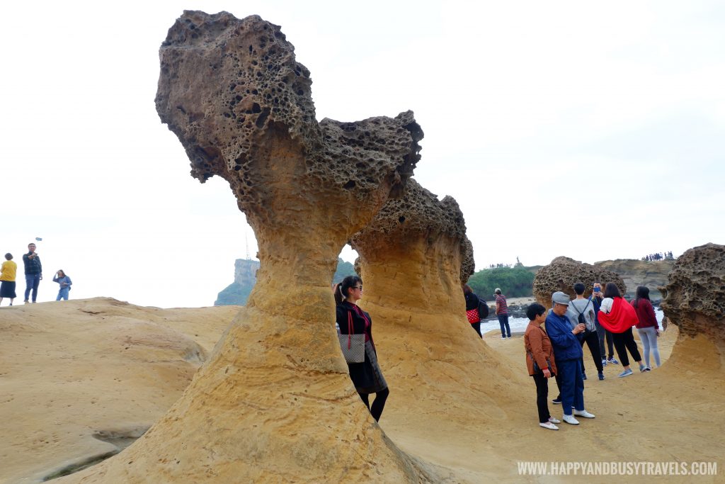 Dragon's head Yehliu Geopark 野柳地質公園 - Happy and Busy Travels to Taiwan