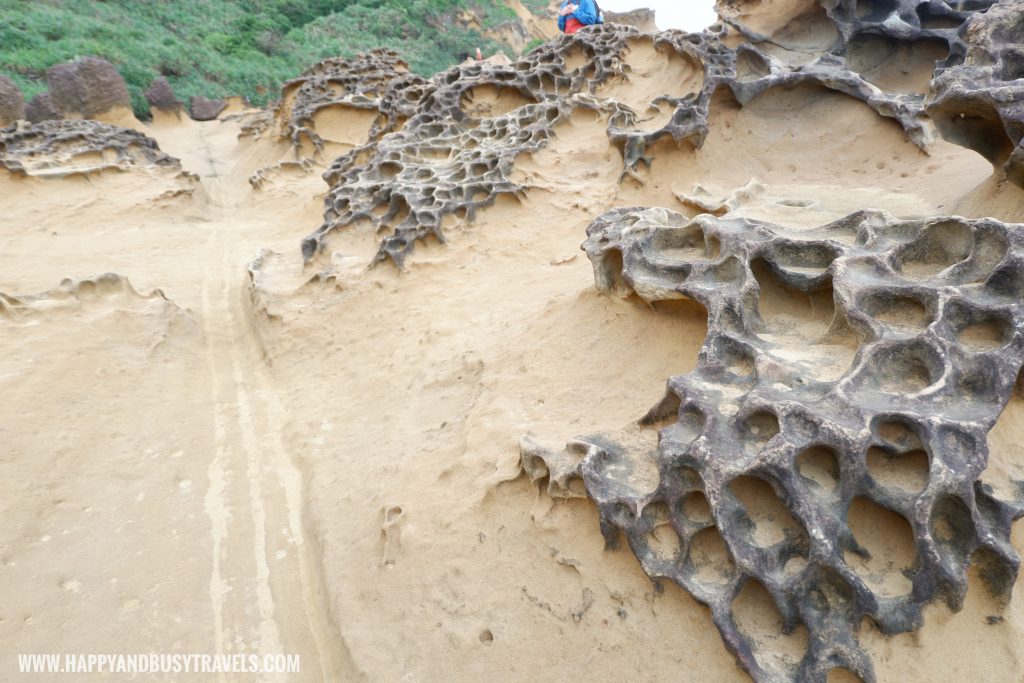 Yehliu Geopark 野柳地質公園 - Happy and Busy Travels to Taiwan