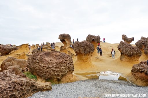 Yehliu Geopark, Taipei City, Taiwan - Happy and Busy Travels