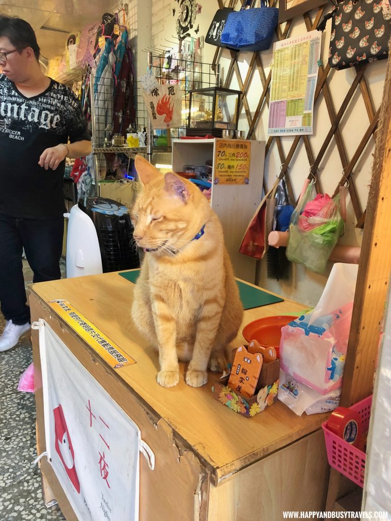 Houtong Cat Village - Happy and Busy Travels to Taiwan