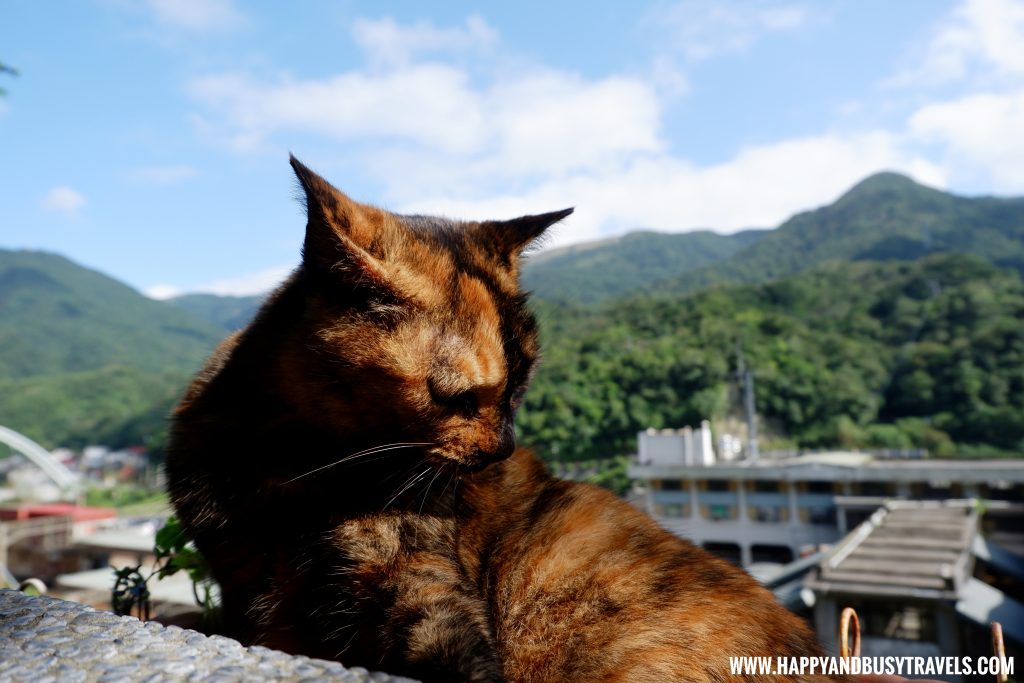 Houtong Cat Village - Happy and Busy Travels to Taiwan