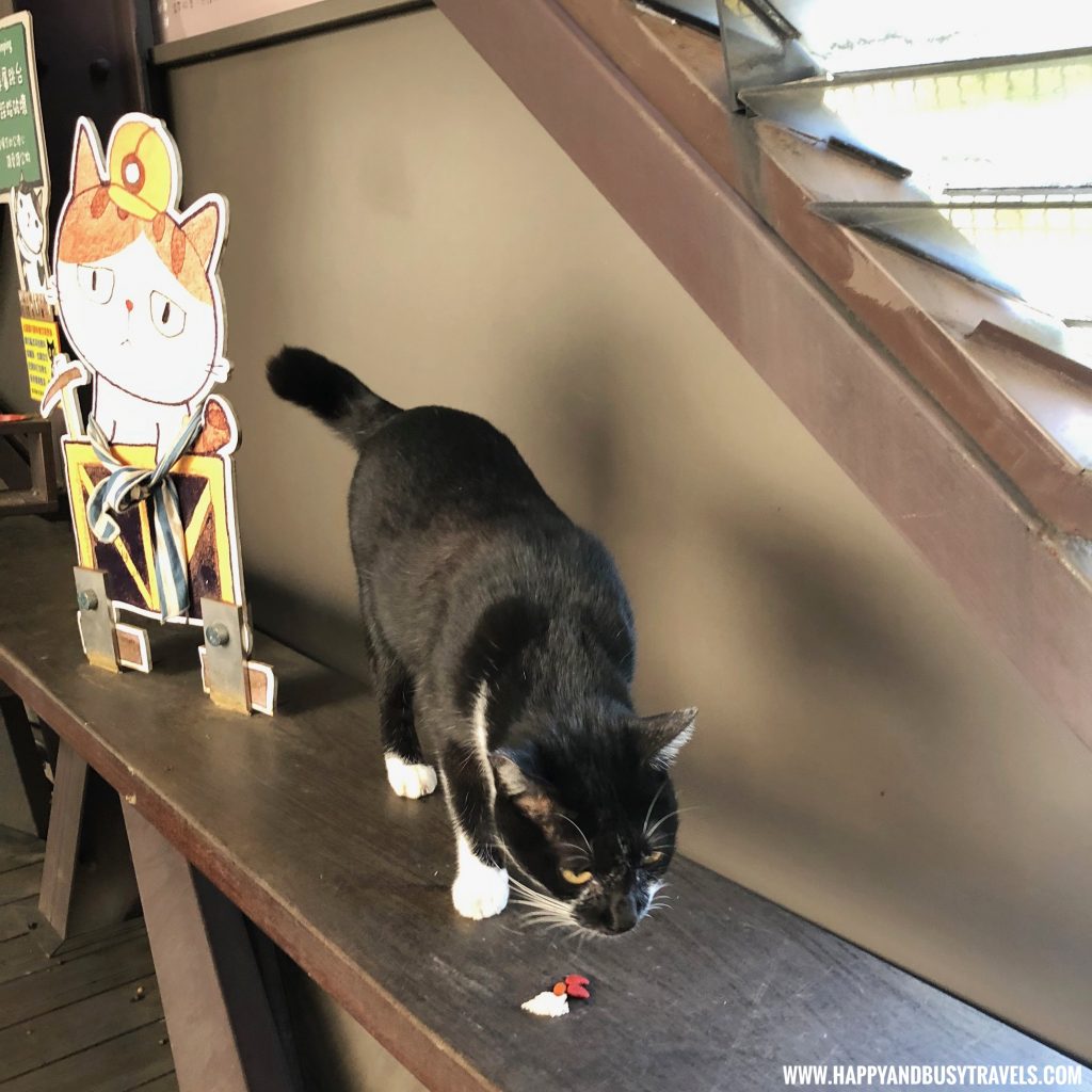 Houtong Cat Village - Happy and Busy Travels to Taiwan