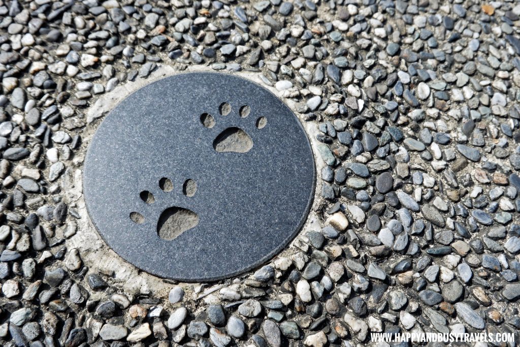 Houtong Cat Village - Happy and Busy Travels to Taiwan