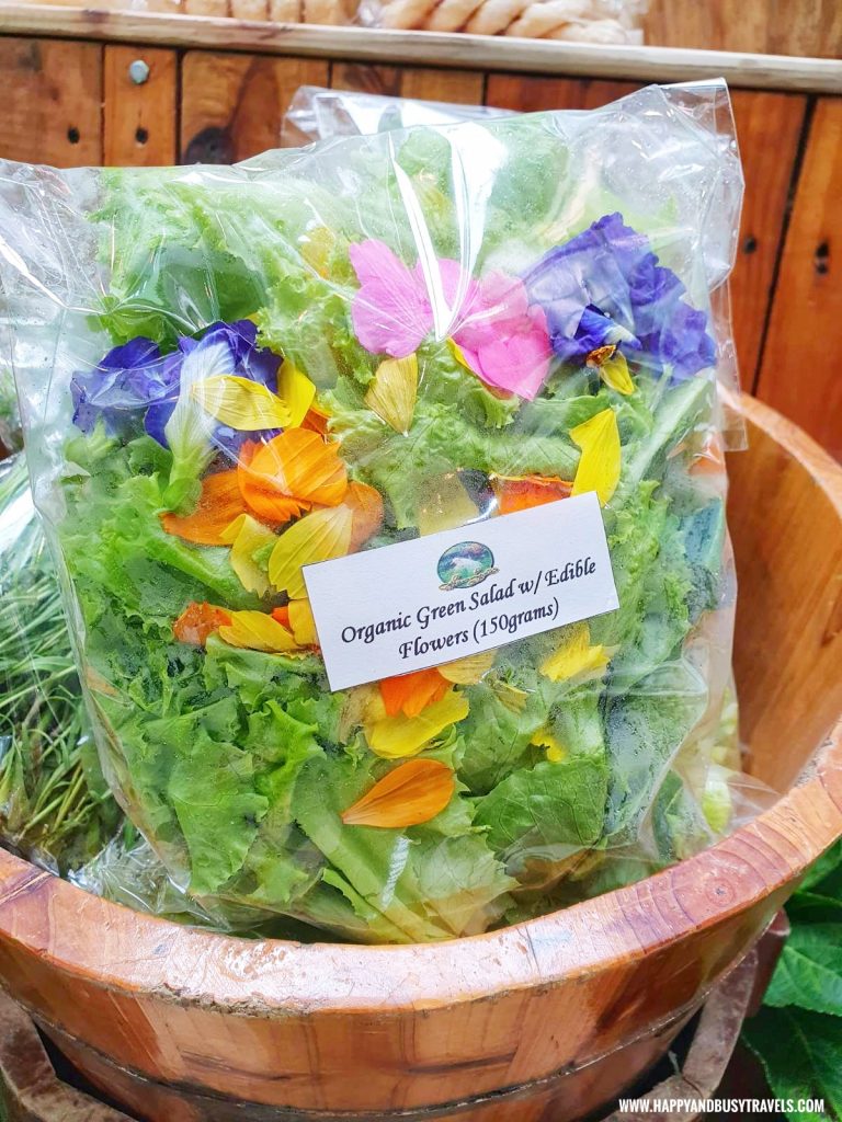 organic green salad with edible flowers of sonyas garden Happy Garden SM Dasmarinas Cavite Plantito plantita plants expo and fresh produce happy and busy travels experience