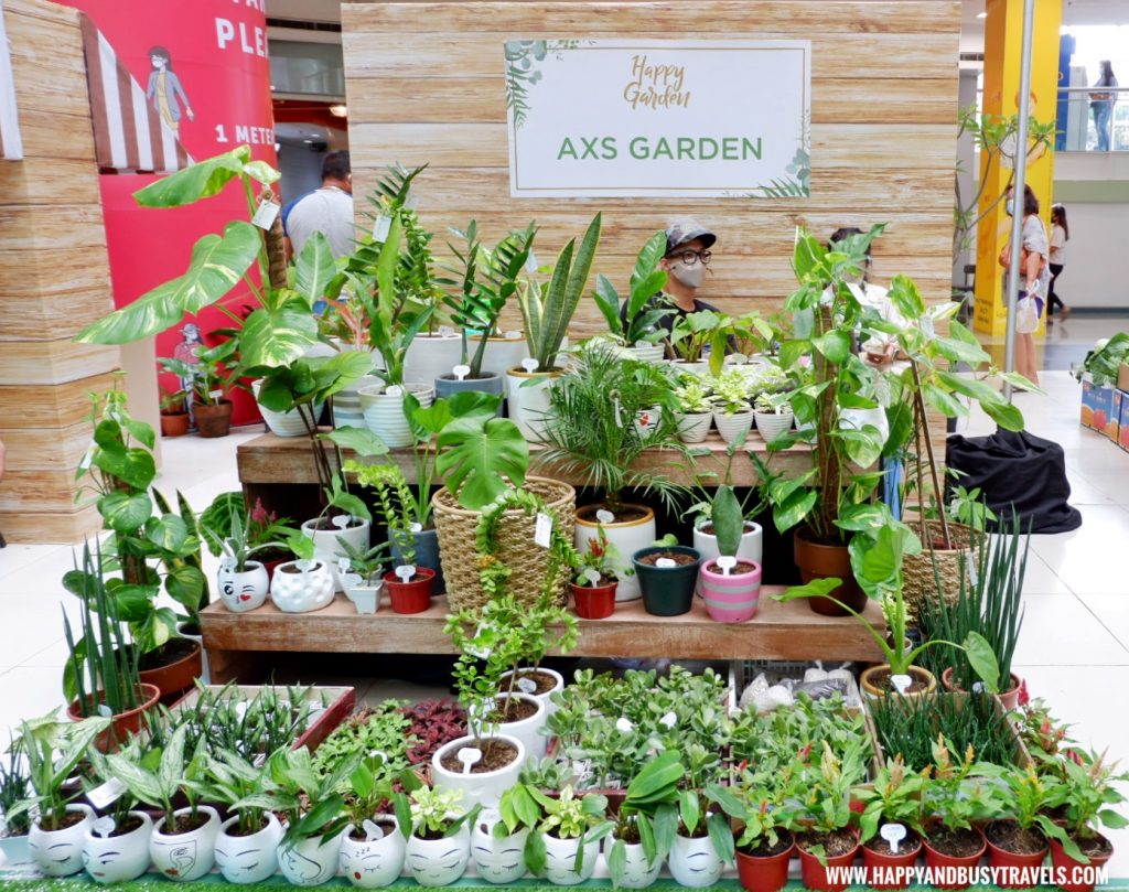 axs garden Happy Garden SM Dasmarinas Cavite Plantito plantita plants expo and fresh produce happy and busy travels experience