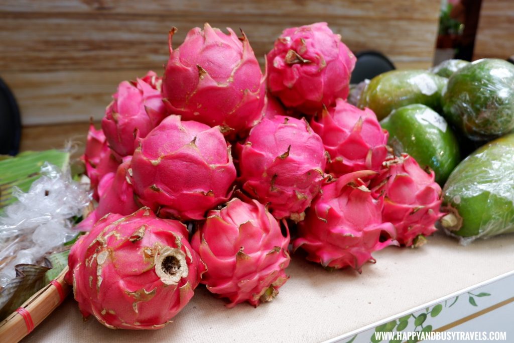 dragon fruit silang united farmers association Happy Garden SM Dasmarinas Cavite Plantito plantita plants expo and fresh produce happy and busy travels experience