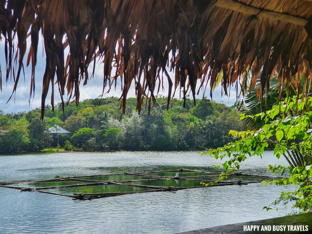 view from the balcony Julian's Julians Island Lodge - Happy and Busy Travels to Cavinti Laguna