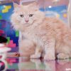 UrPet Babies Cat Cafe - Happy and Busy Travels to Silang Laguna Cavite